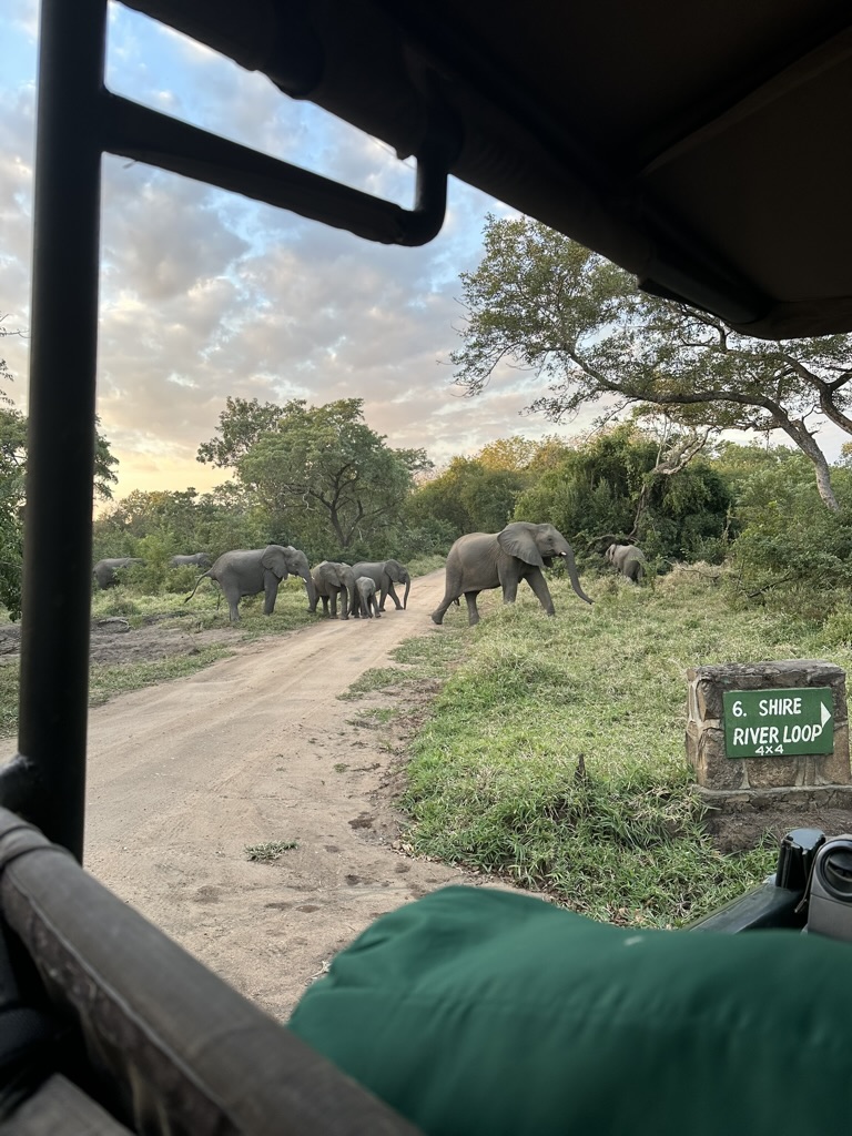 Human stories from the natural world.